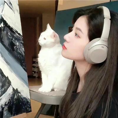 举起手来!